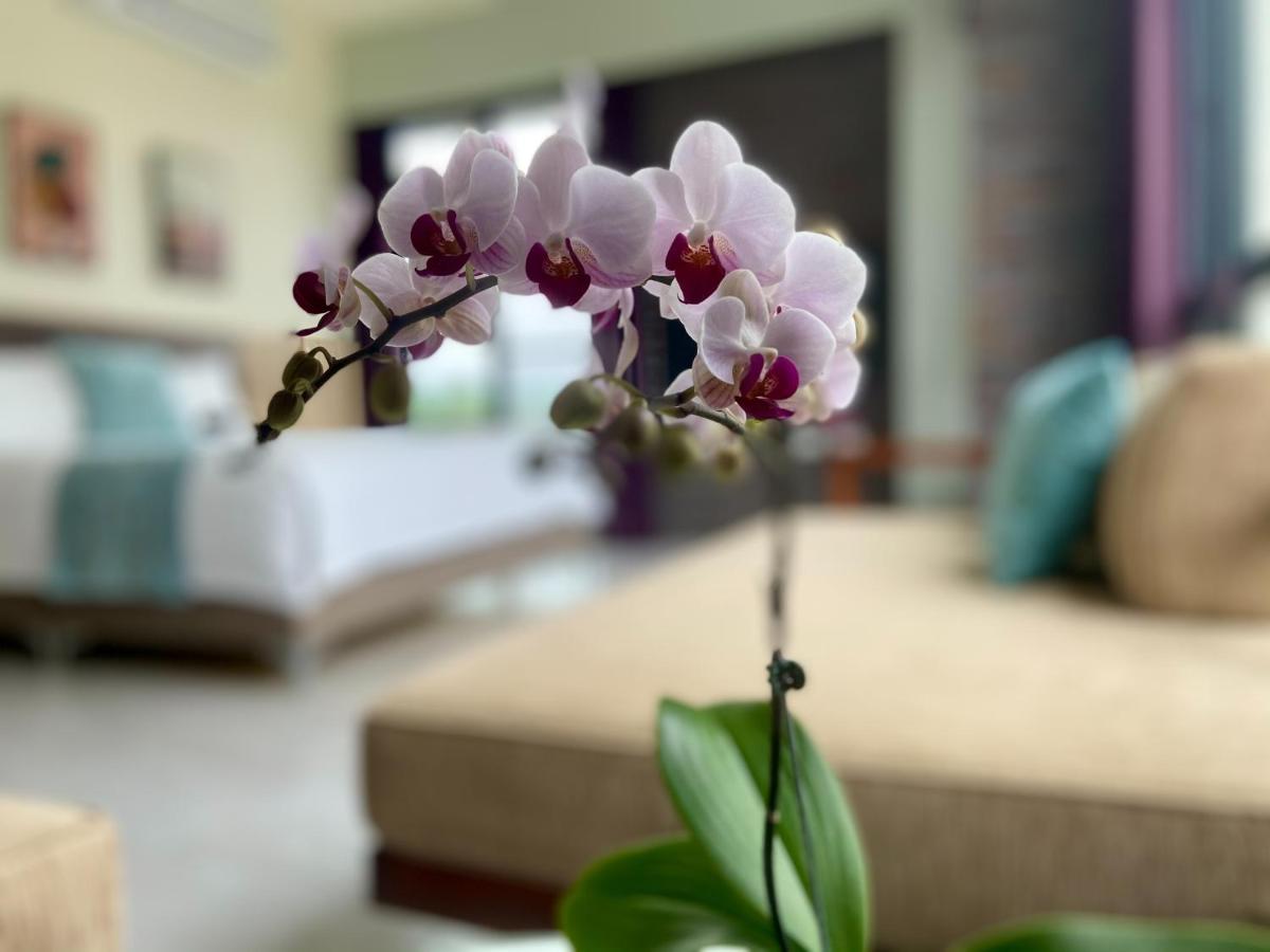 Follow The Cloud B&B Jialin エクステリア 写真