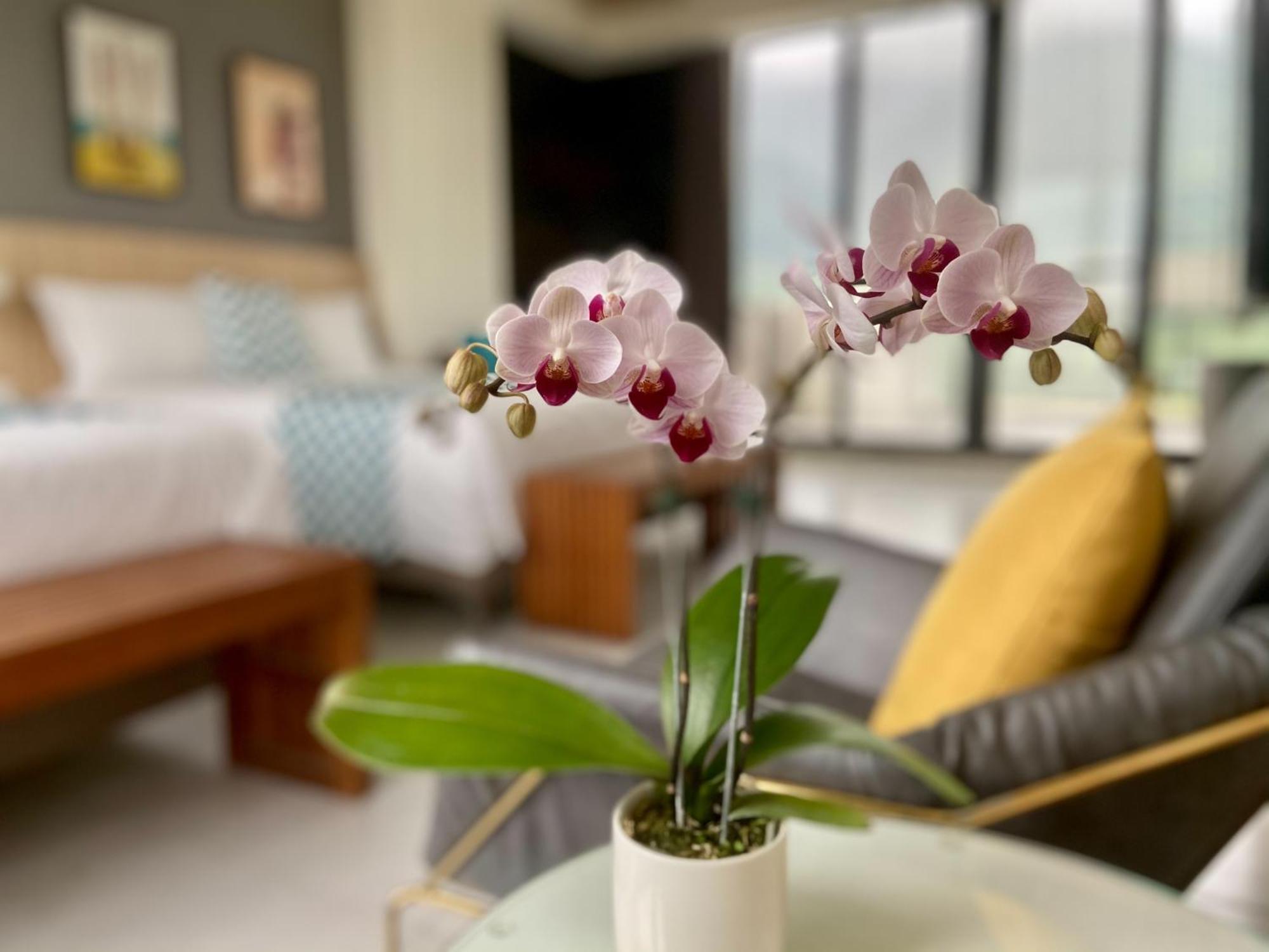Follow The Cloud B&B Jialin 部屋 写真